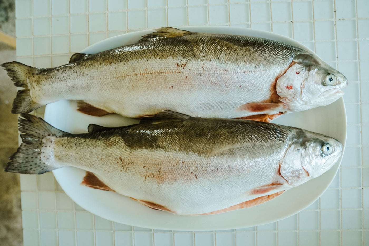 Pan Fry - Whole 1lb Steelhead